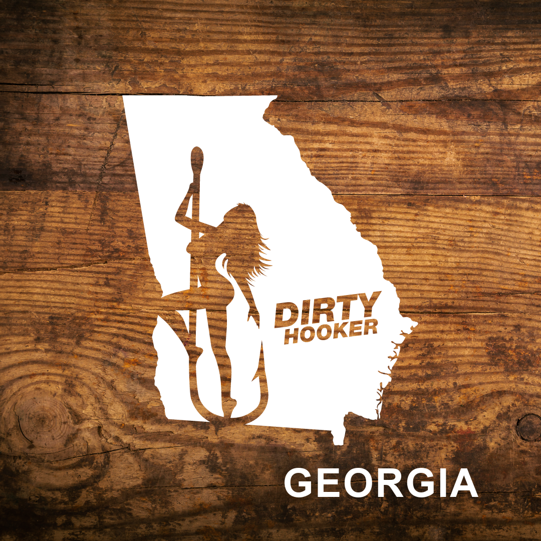 Dirty Hooker Georgia State Decal